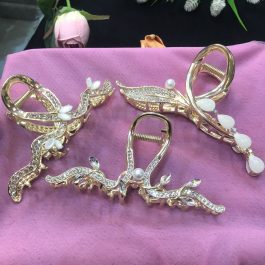 Metal Claw Clip