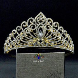 Golden/White Stunning Bridal Shiny Tiara Crown/Hair Embellishment For Women